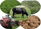 В Госдуме обсудят меры поддержки малого и среднего бизнеса в сельском хозяйстве